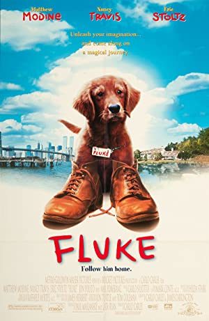 Capa do filme Fluke