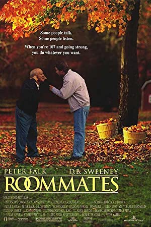 Capa do filme Roommates