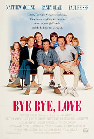 Capa do filme Bye Bye Love