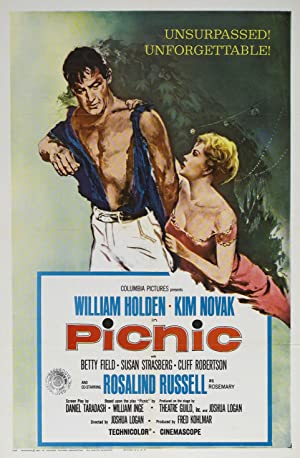 Capa do filme Picnic