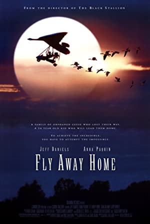 Capa do filme Fly Away Home