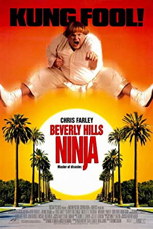 Capa do filme Um Ninja da Pesada