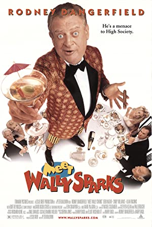 Capa do filme Meet Wally Sparks