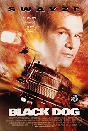 Capa do filme Estrada Alucinante