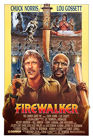 Capa do filme Firewalker