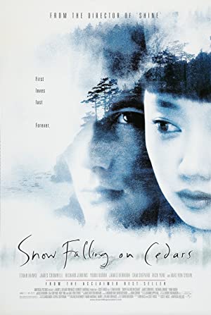 Capa do filme Snow Falling on Cedars