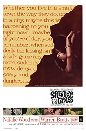 Capa do filme Splendor in the Grass