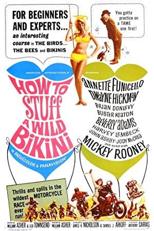 Capa do filme How to Stuff a Wild Bikini