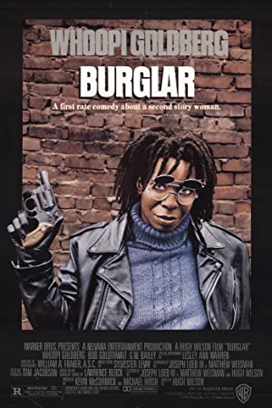 Capa do filme Burglar