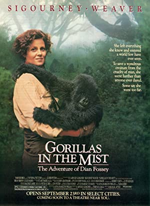 Capa do filme Gorillas in the Mist