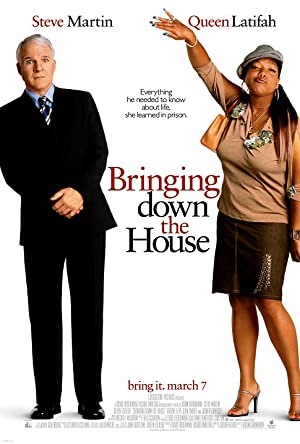 Capa do filme Bringing Down the House