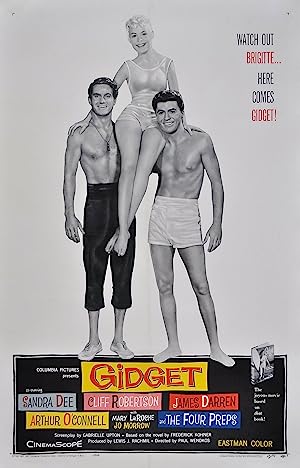 Capa do filme Gidget