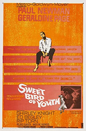 Capa do filme Sweet Bird of Youth