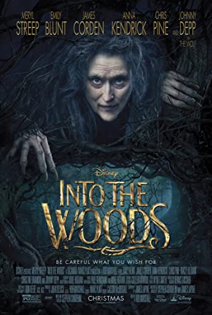 Capa do filme Into the Woods