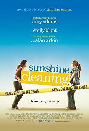 Capa do filme Sunshine Cleaning