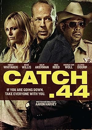 Capa do filme Catch .44