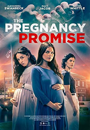 Capa do filme The Pregnancy Promise