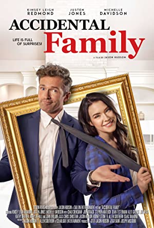 Capa do filme Accidental Family