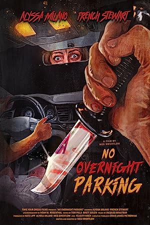 Capa do filme No Overnight Parking