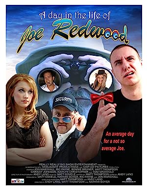 Capa do filme A Day in the Life of Joe Redwood