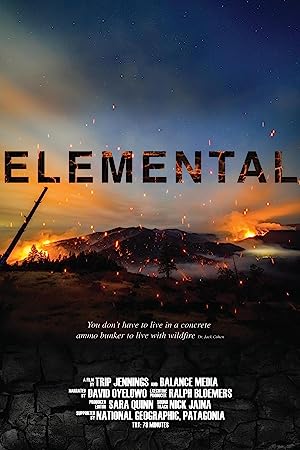 Capa do filme Elemental