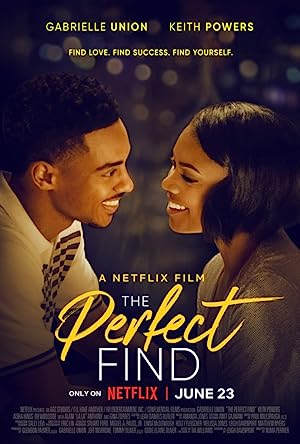 Capa do filme The Perfect Find