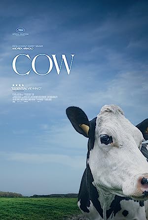 Capa do filme Cow