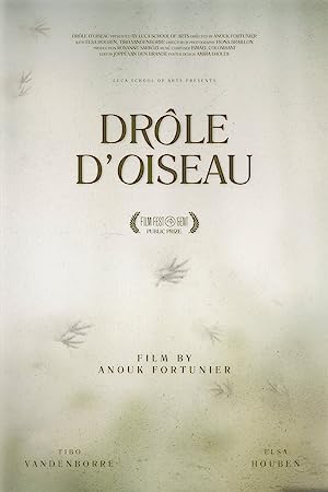 Capa do filme Drôle d'Oiseau