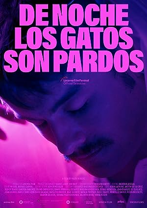 Capa do filme De noche los gatos son pardos