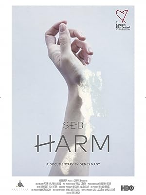 Capa do filme Harm